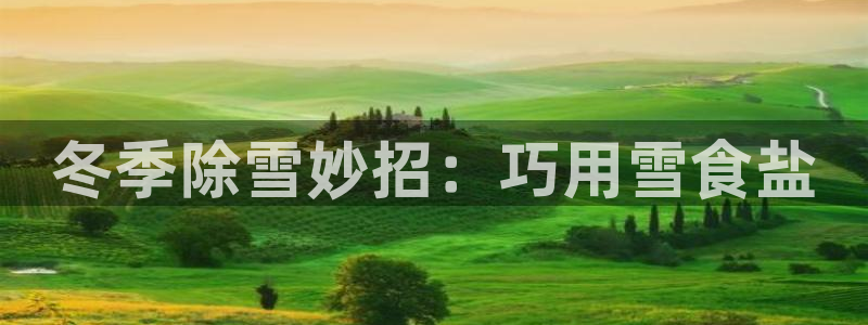 威九国际地址