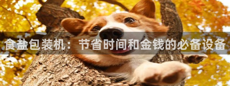 威九国际78mob官网版
