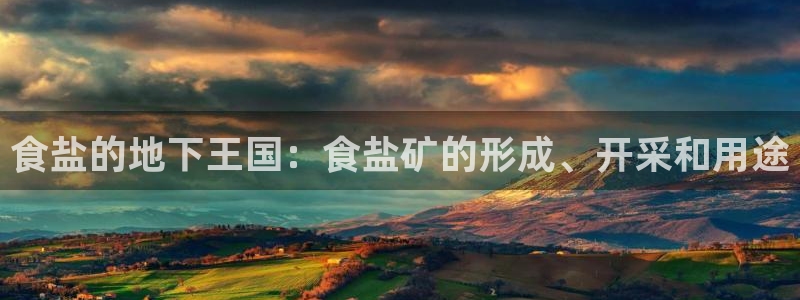 威九国际官网版下载