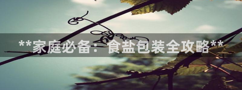 威九国际APP