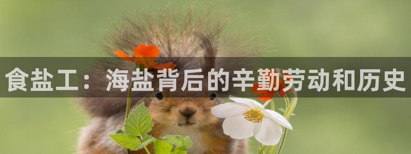 威九国际小说