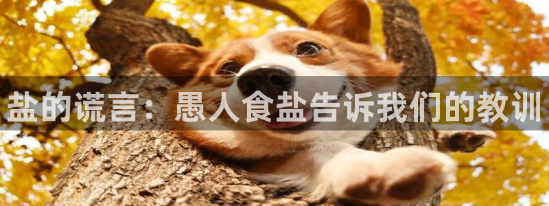 威九国际取款不会被骗吧吗