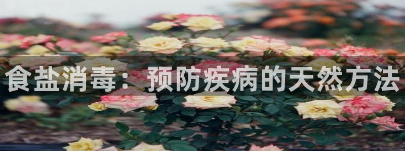 78mapp威九国际官网