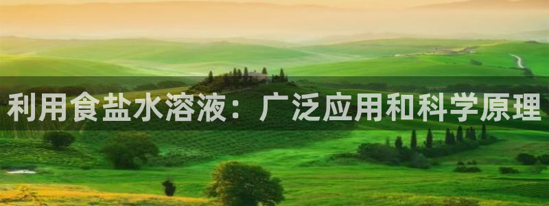 威九国际78m九妹