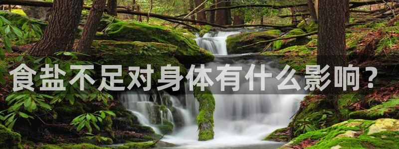 威九国际8ⅹ8x