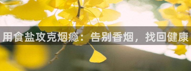 威九国际空降服务怎么样