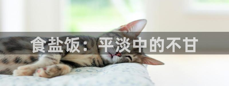 威九国际宣传片