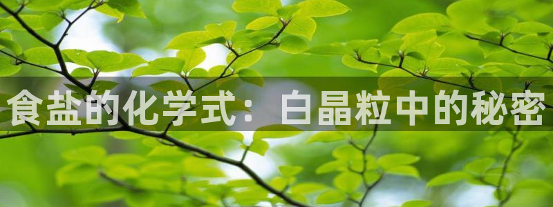 威九国际app无法登陆怎么回事