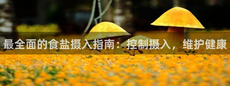威九国际com