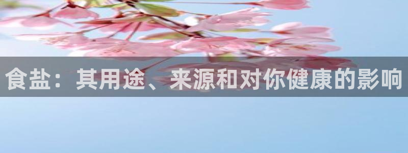 威九国际免费