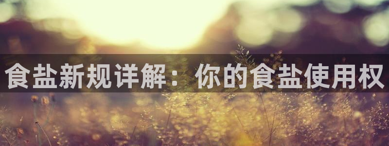 78mapp威九国际官网