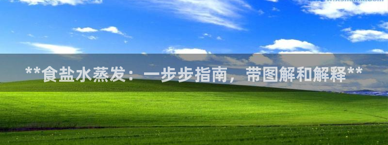 威九国际A