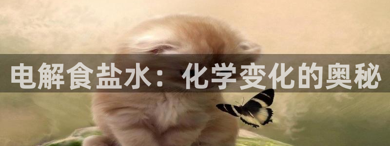 威九国际女艺人