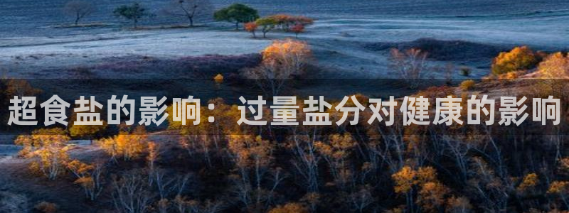 威九国际官网版下载