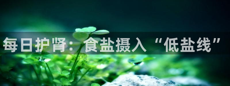 威九国际新人白发
