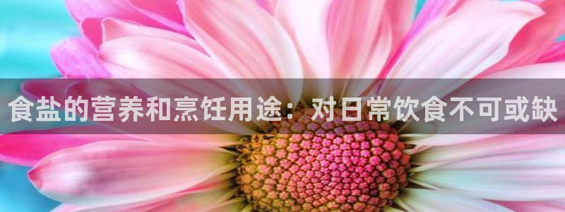 威九国际女明星