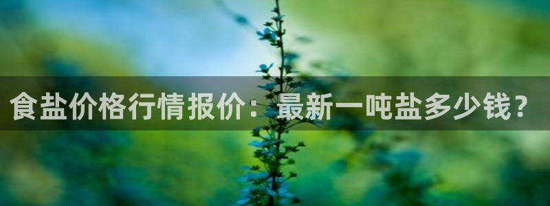 78mapp威九国际媒体