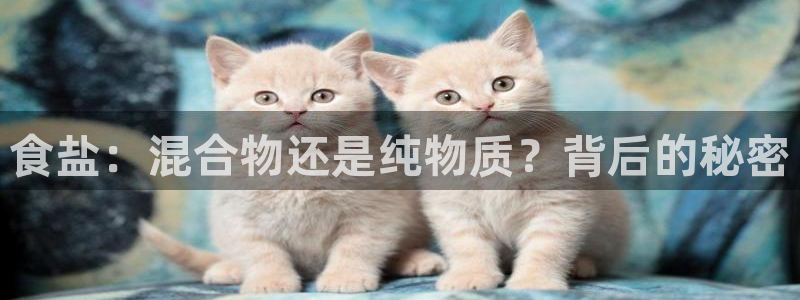 威九国际官方入口官网