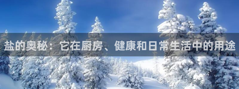 威九国际女