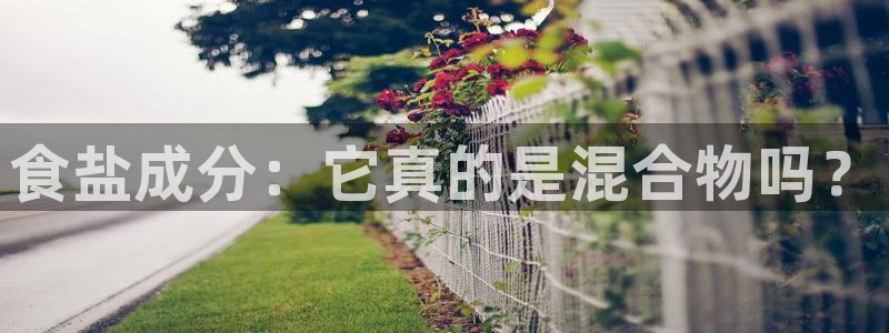 66m威九国际成长模式