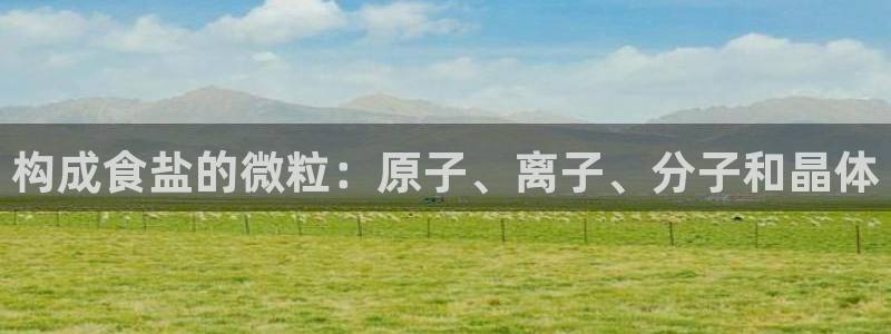 威九国际网站怎么样知乎