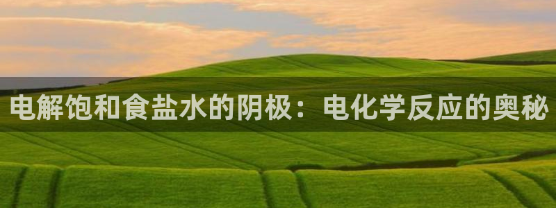 威九国际v96242cc官网版