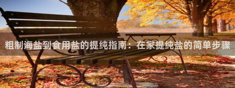 威九国际X8