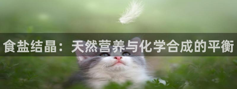威九国际客服电话号码