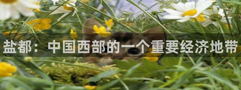 威九国际免费游戏