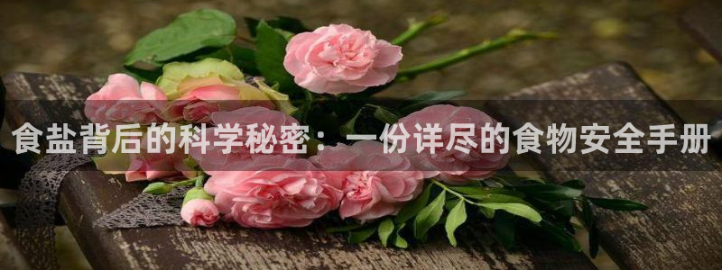 威九国际ppt免费下载网址