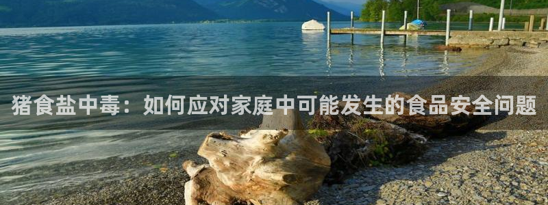 威九国际旗下艺人