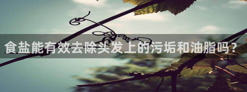 威九国际新