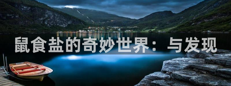 威九国际替好友去