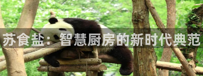 威九国际网站传媒