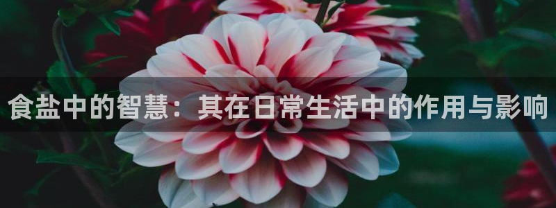 威九国际66m免费下载