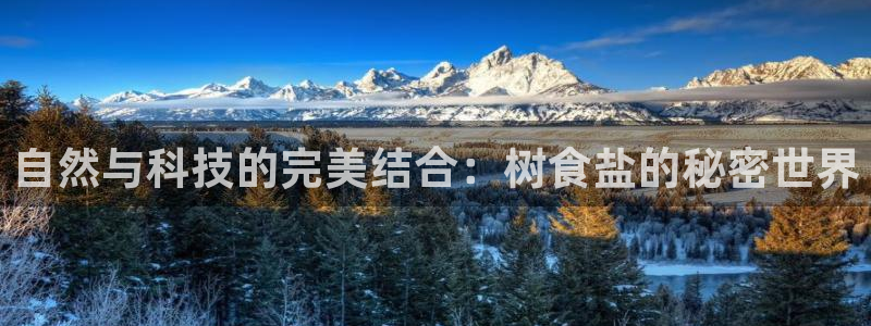 威九国际客服电话是多少