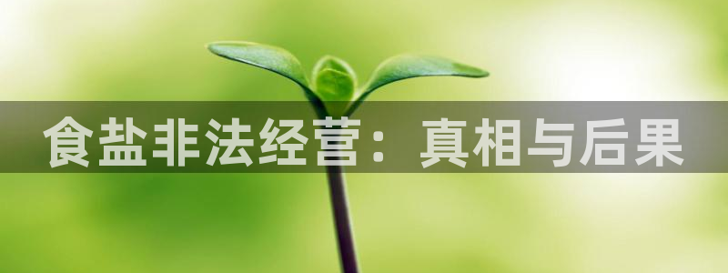威九国际网站客服电话多少号