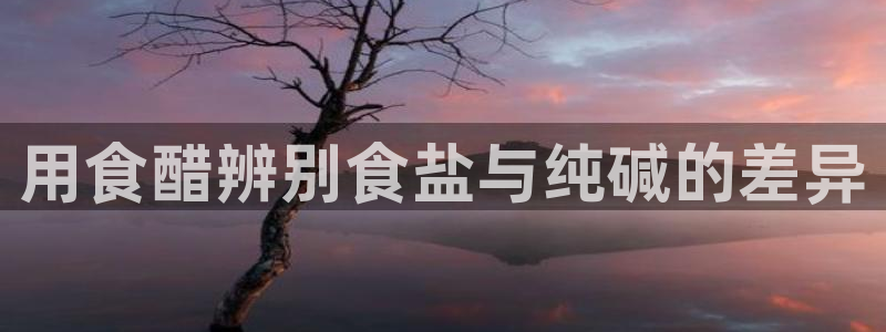 威九国际网站入口地址在哪里