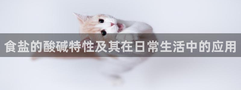 威九国际视频传媒招聘