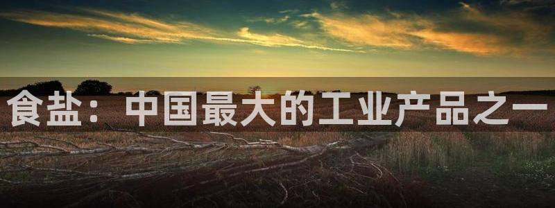 威九国际官网登录入口网站