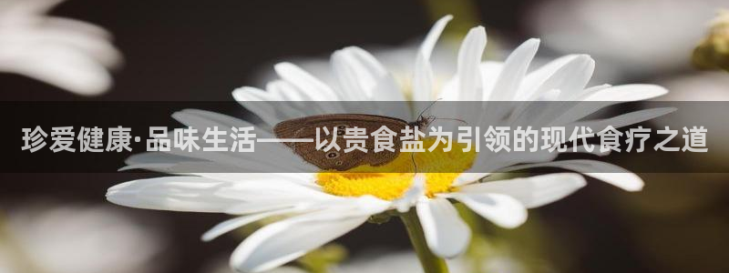 威九国际理论片最经典十首歌曲