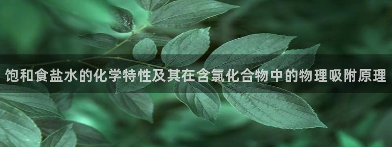 威九国际天美