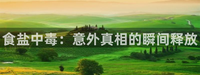 威九国际H