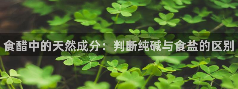 78mapp威九国际