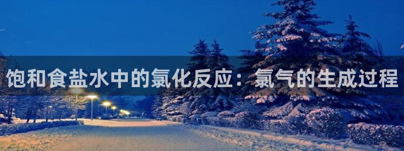 威九国际替好友去