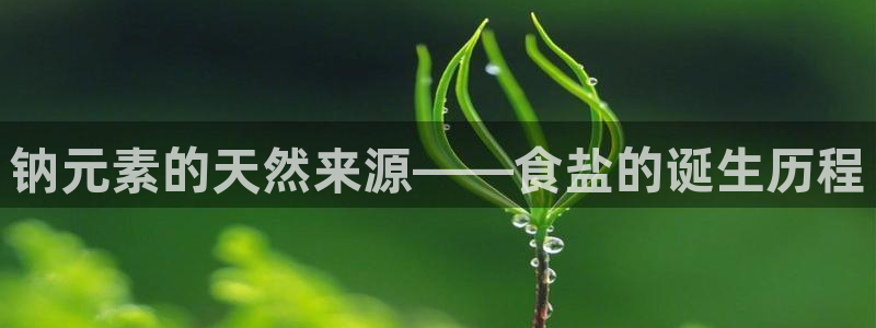 威九国际APP客服