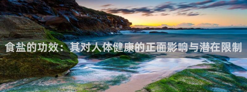威九国际66m免费下载