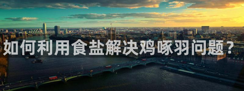 威九国际网站进入客服中心怎么进：如何利用食盐解决鸡啄羽问题？