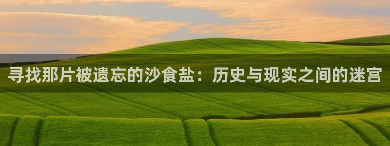 威九国际78m小说
