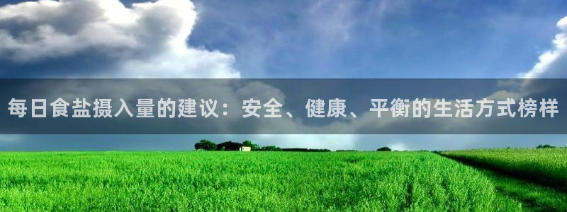 威九国际ppt官网
